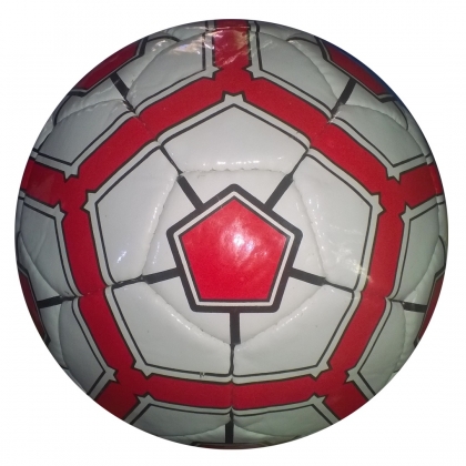 Hand Stitched Professional Ball